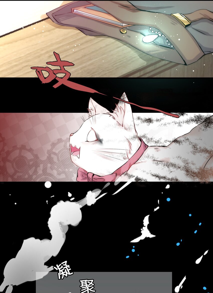 012 猫猫们的报复17