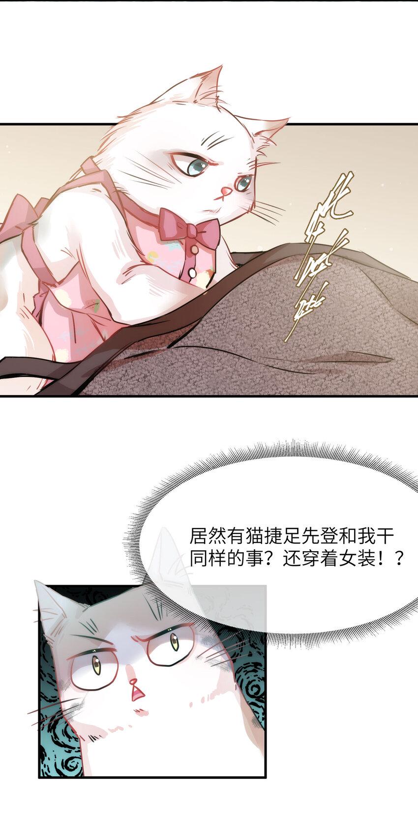 009 猫届女装大佬是小偷？33