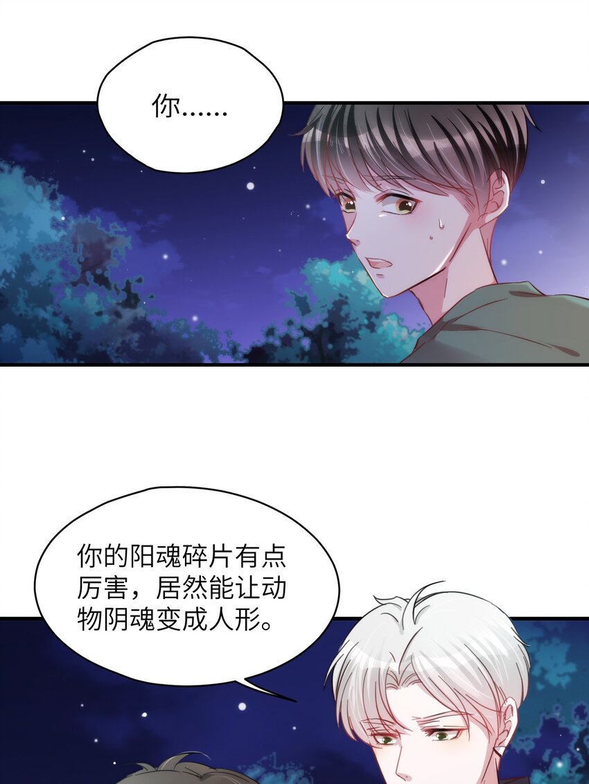 006 小狗豆芽的求助18