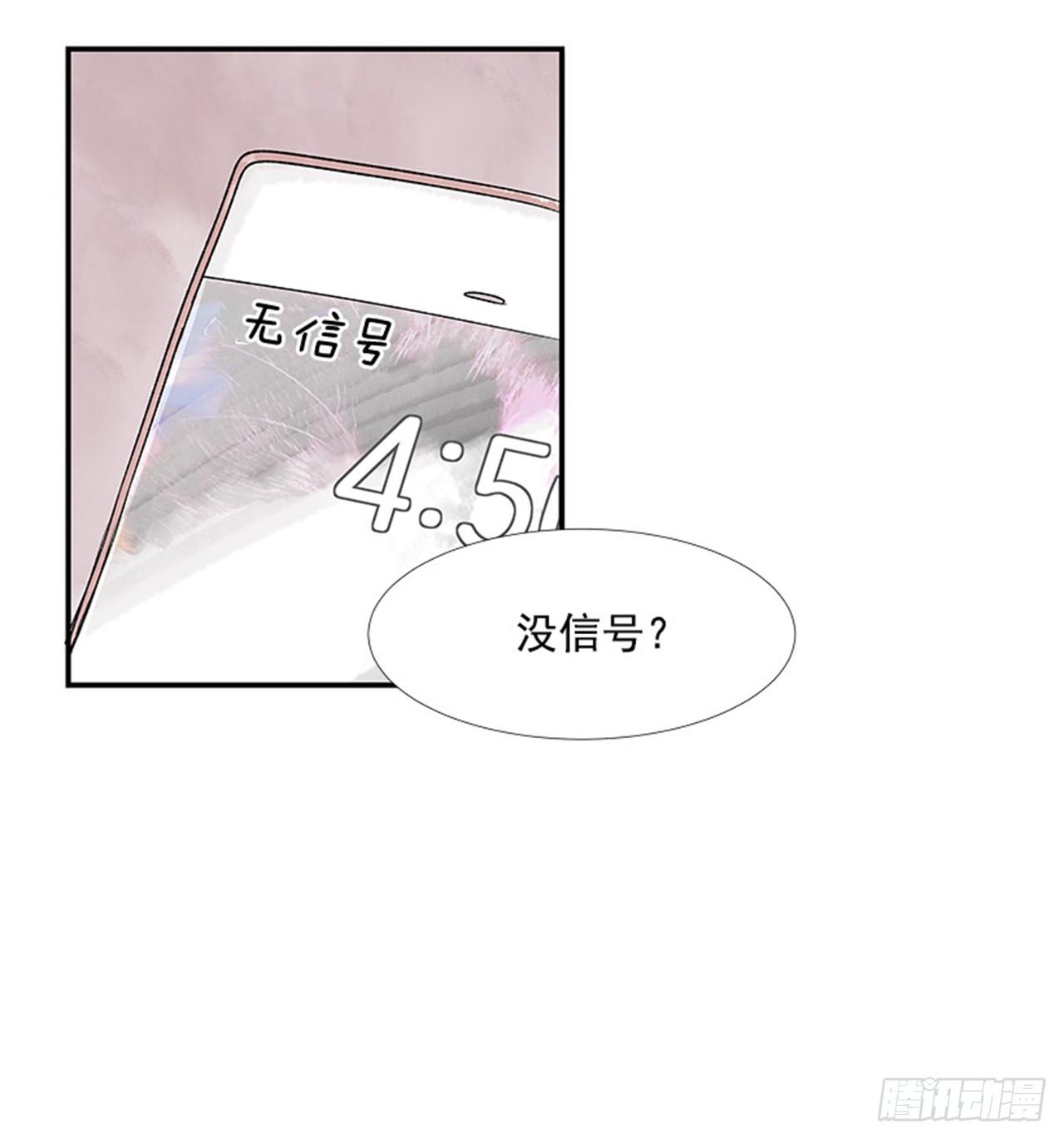 4.远道而来的客人29