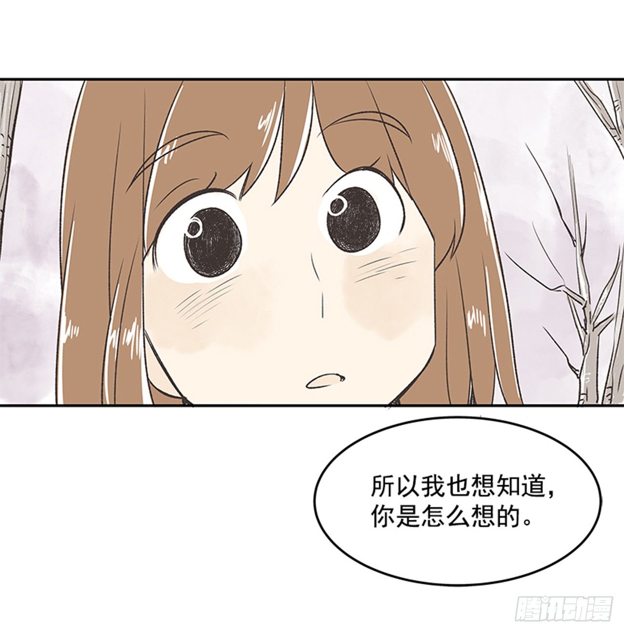 17.照片64
