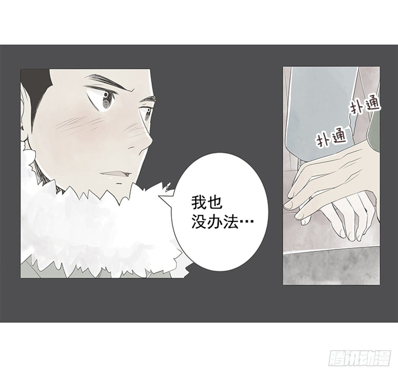 17.照片22
