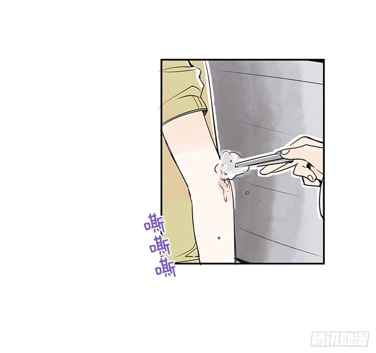 4.远道而来的客人33
