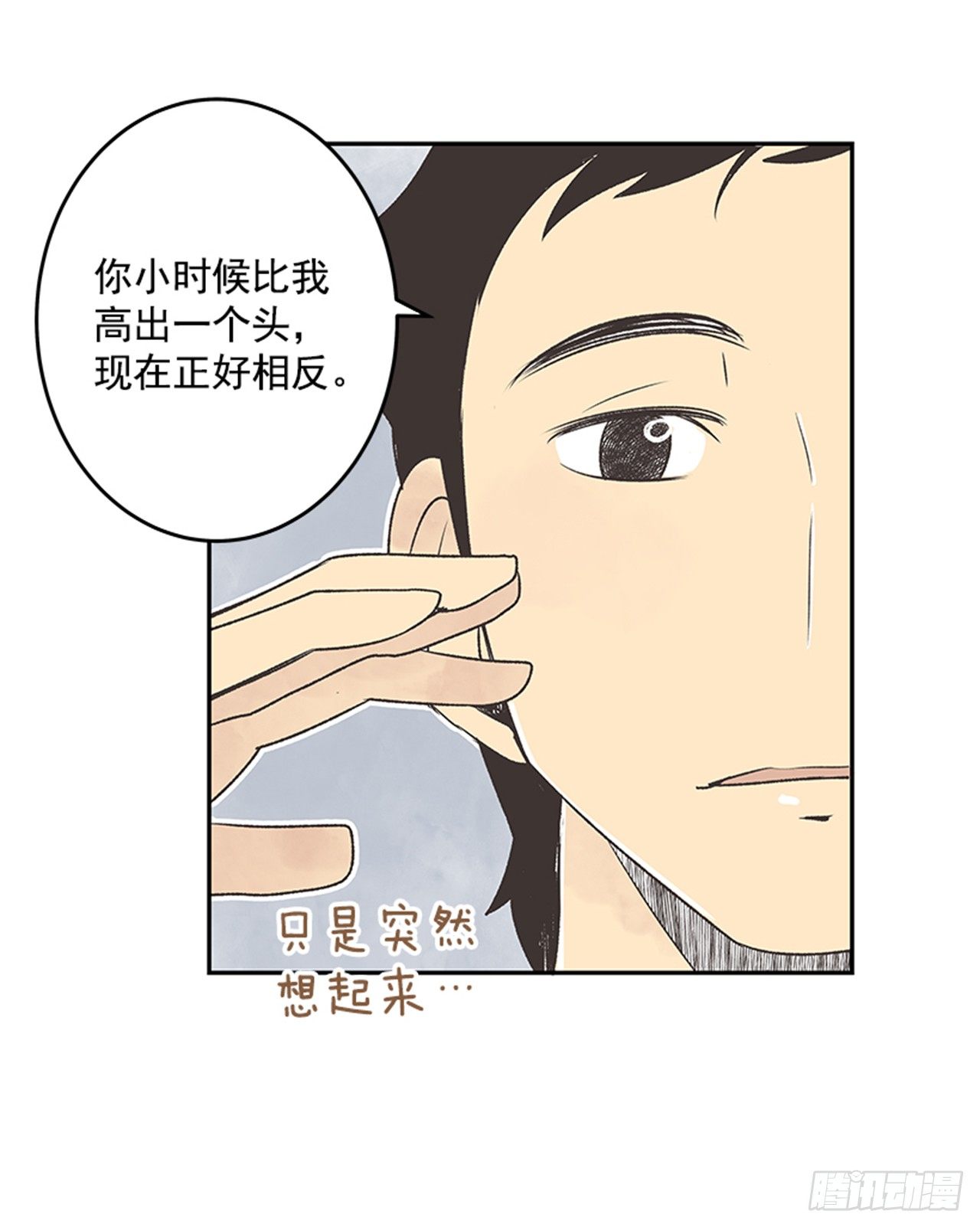 17.照片29