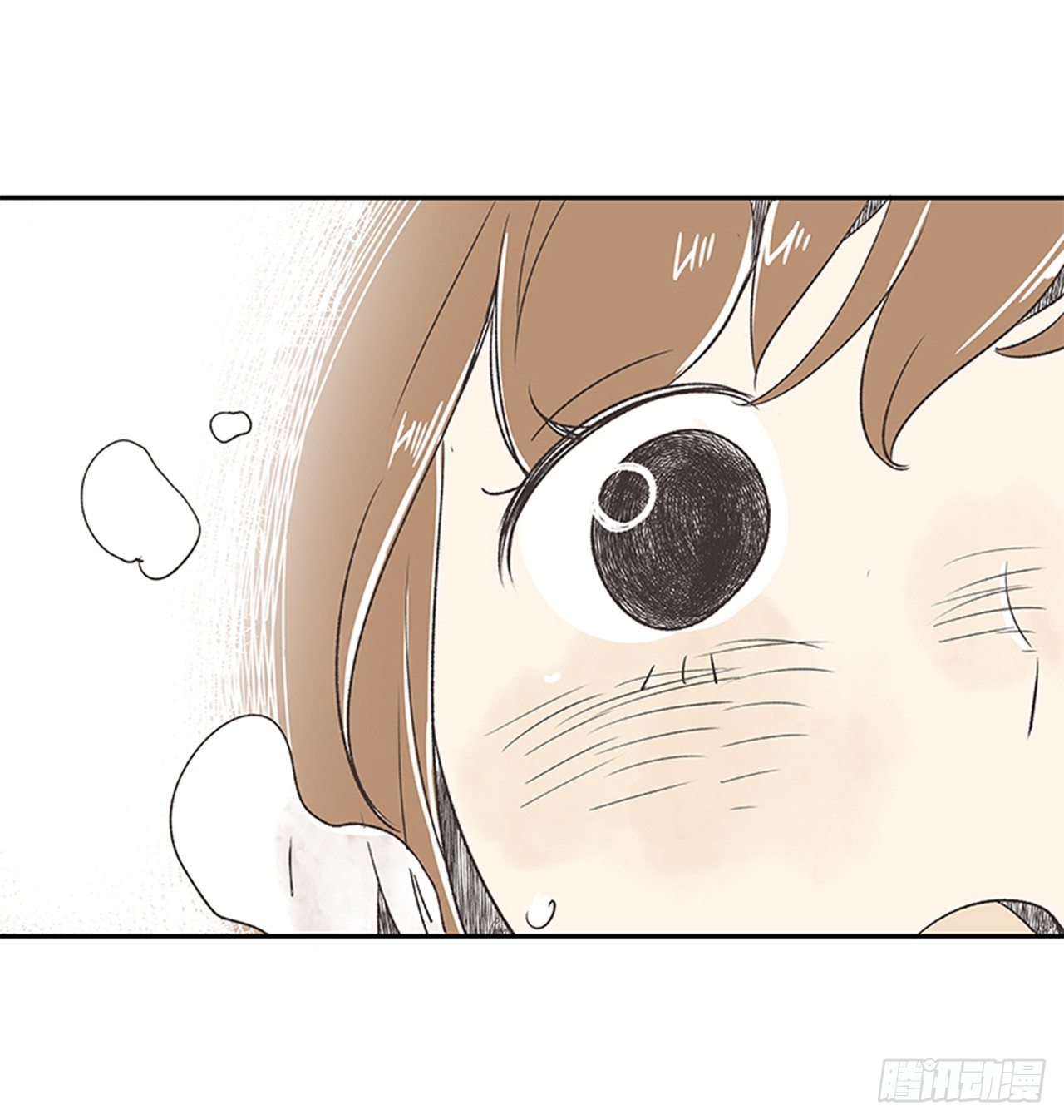 17.照片16
