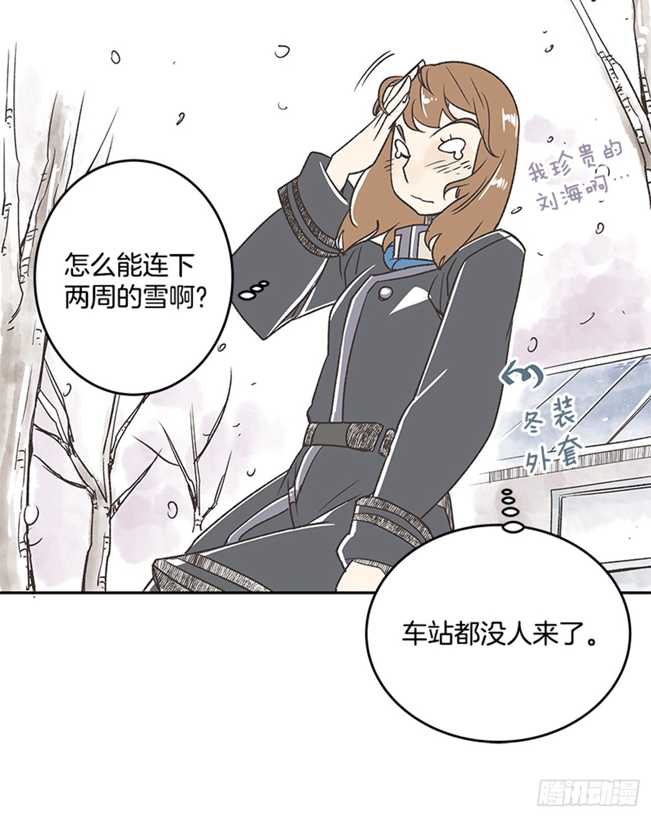 17.照片12