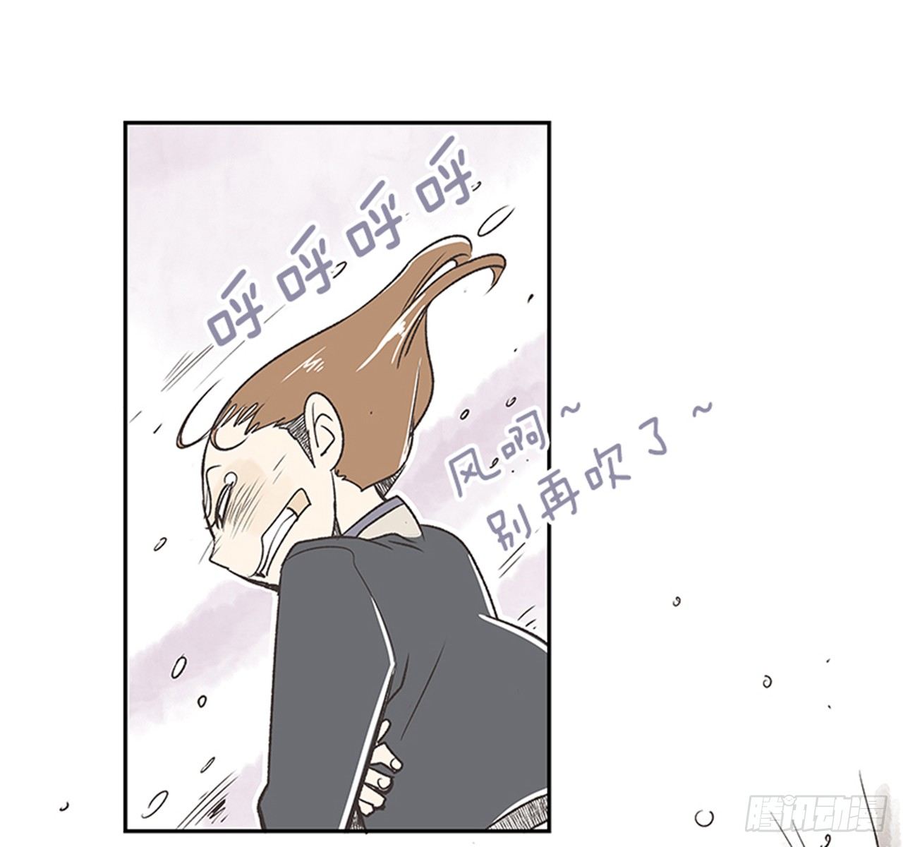 17.照片11