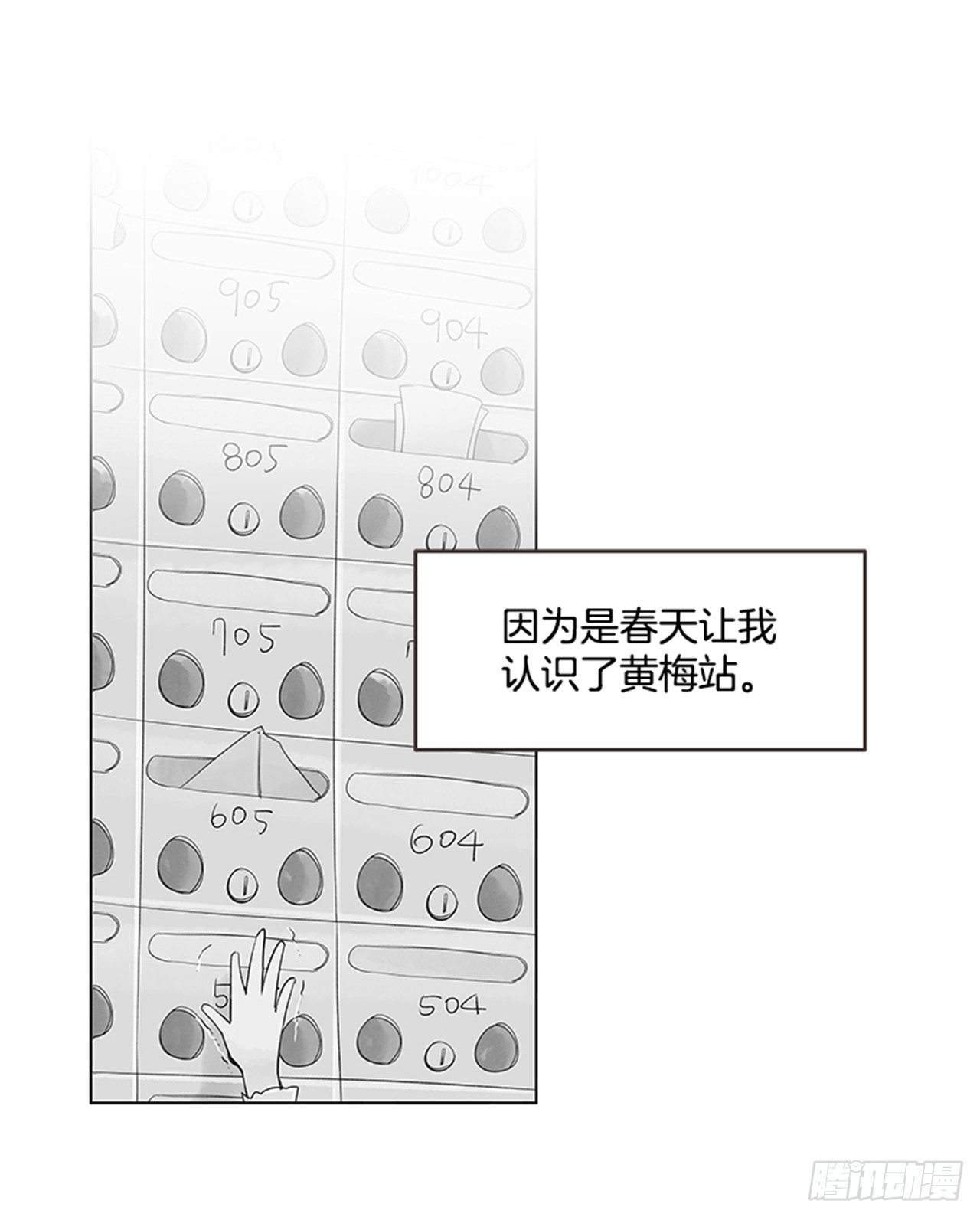 17.照片32
