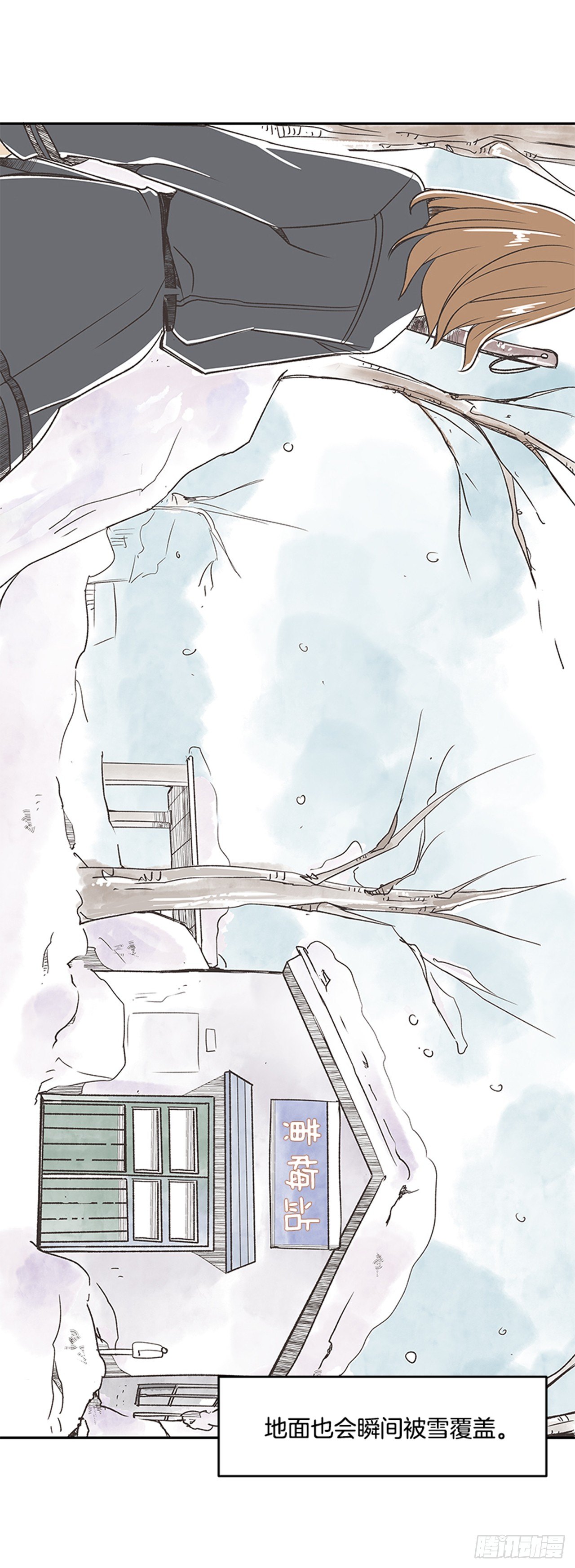 17.照片17