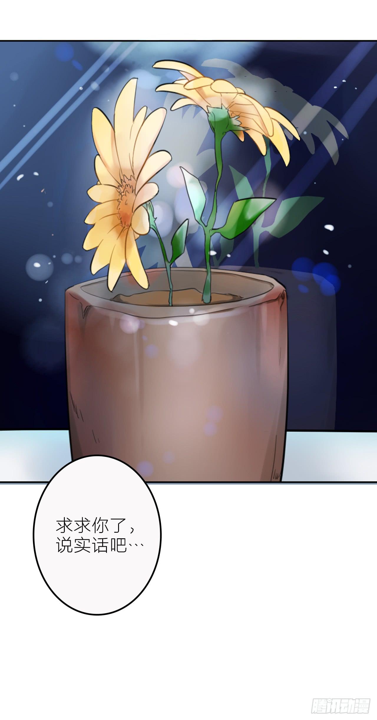 求收留！43