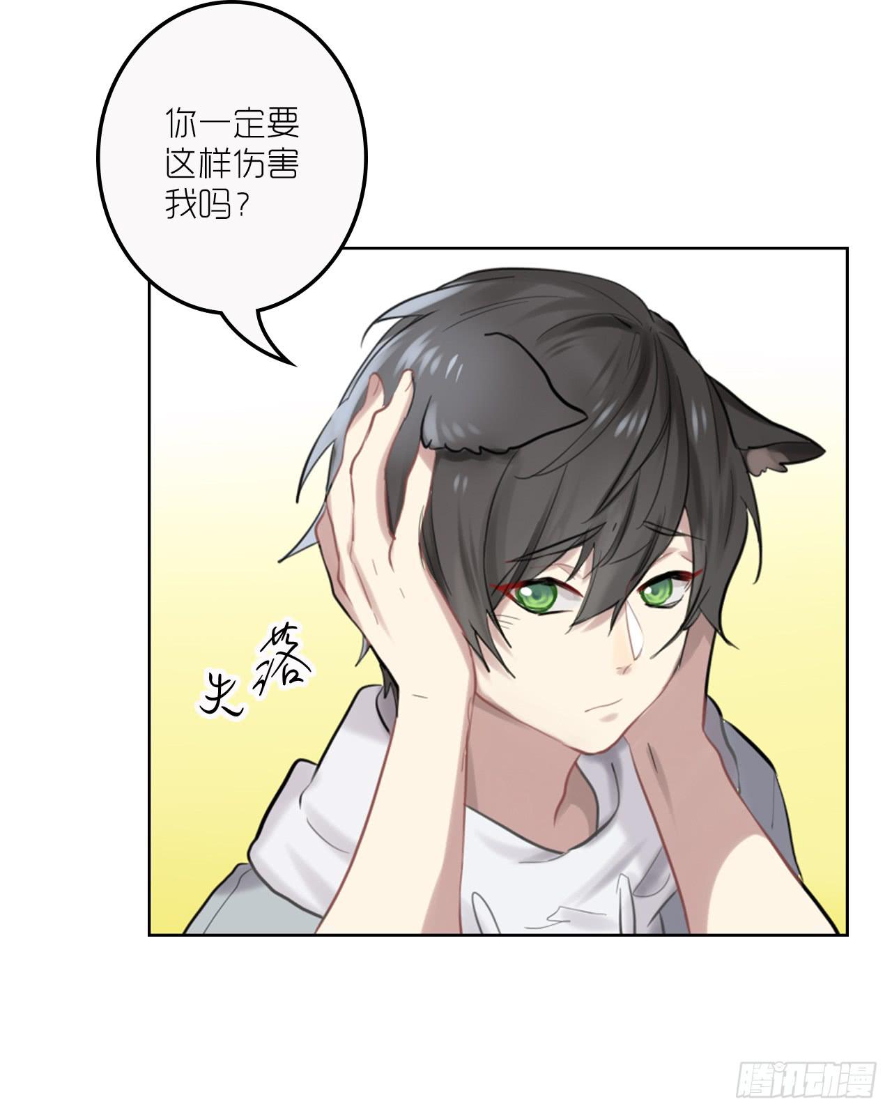 求收留！4