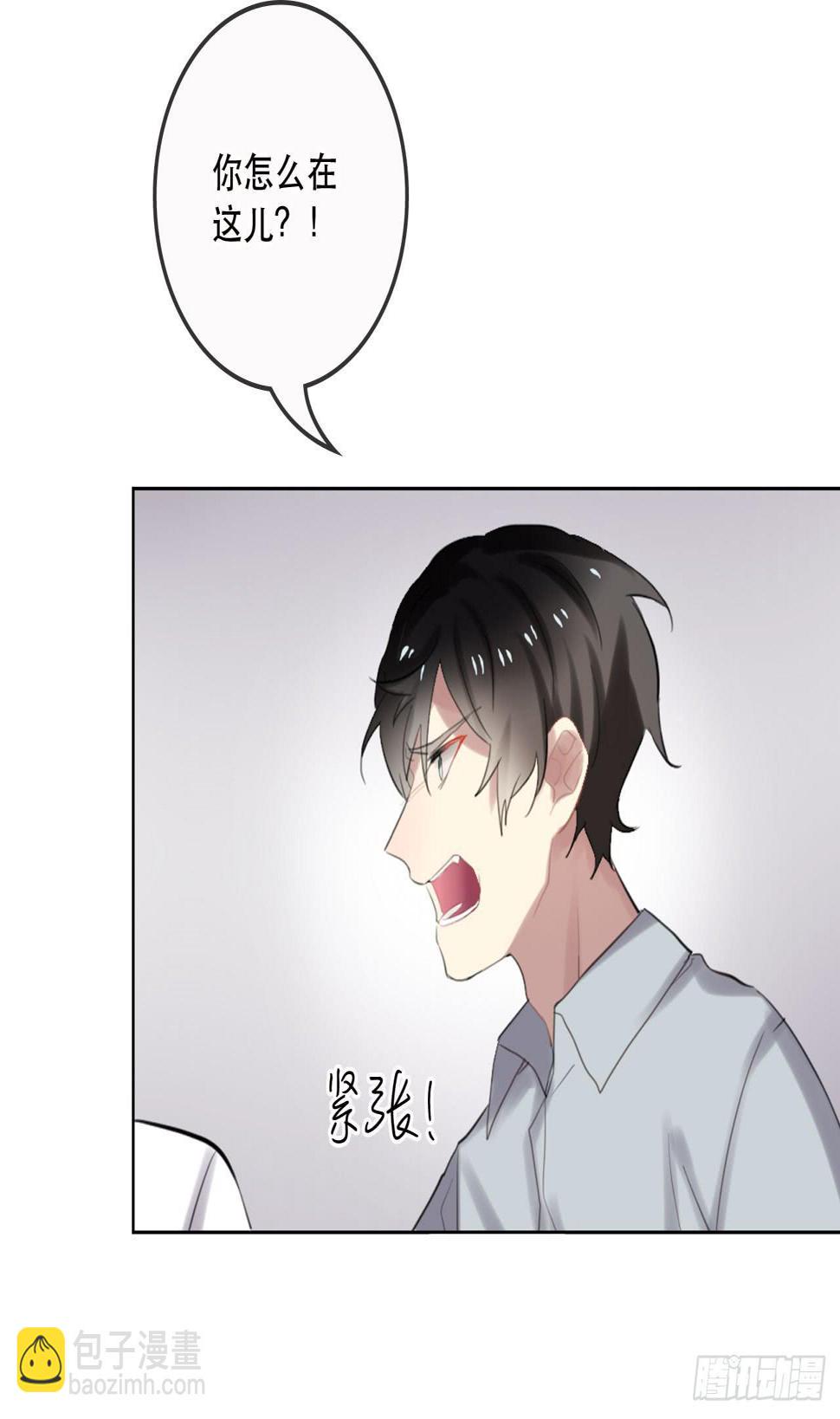 护妻狂魔14