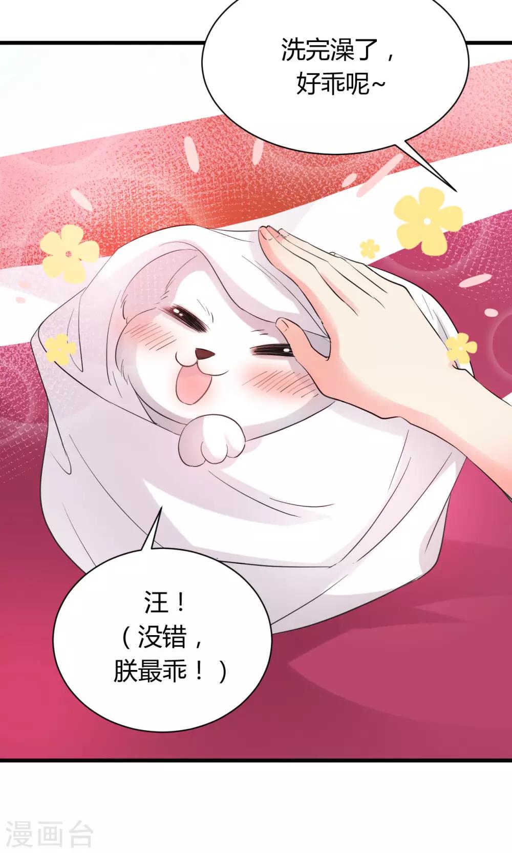 第11话228