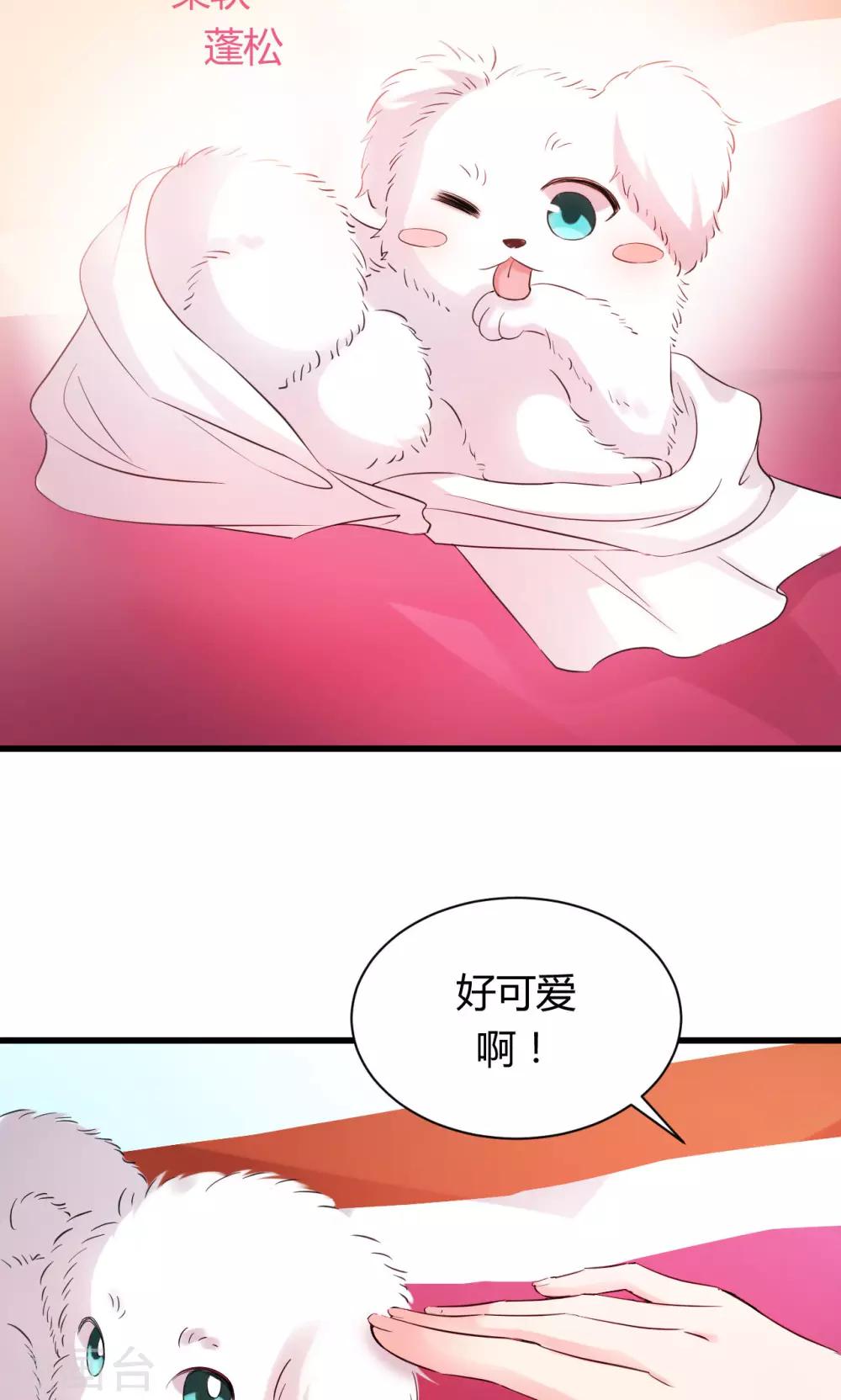 第11话230