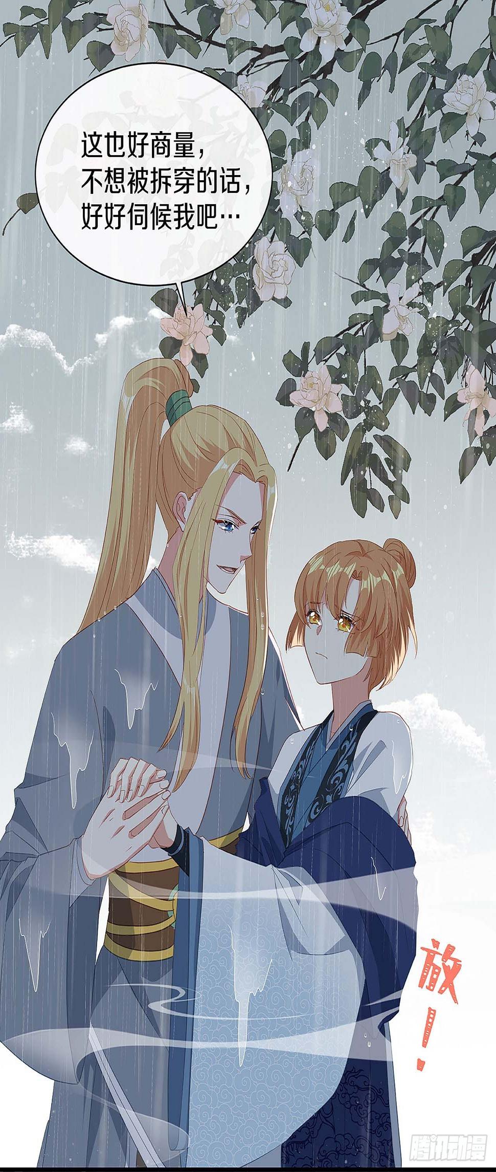 初见，再见6