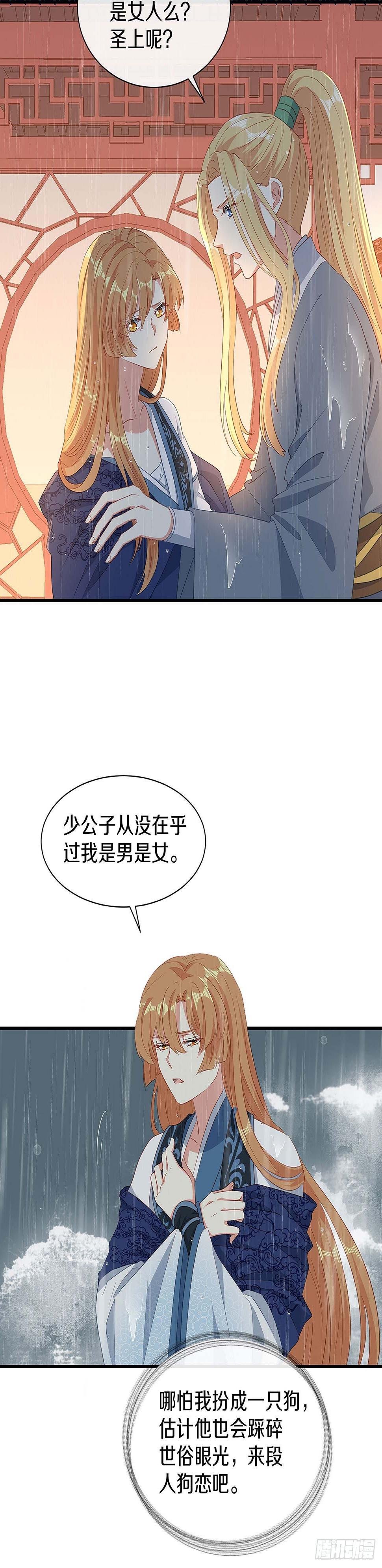 初见，再见2