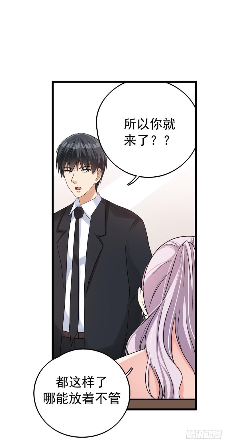 神算仙子重出江湖17