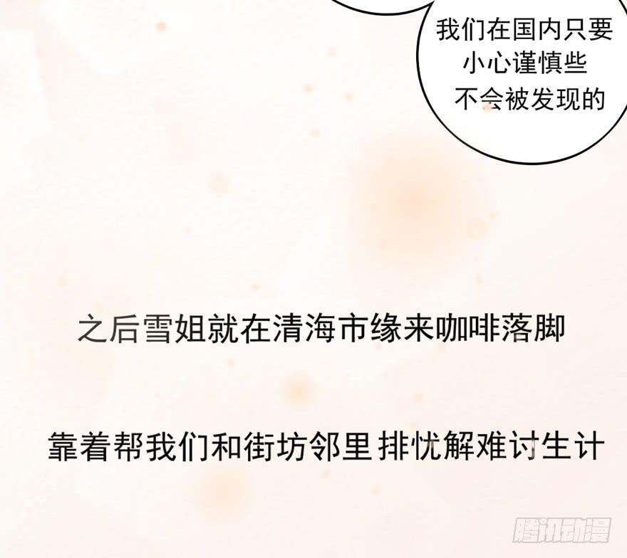 作战计划11
