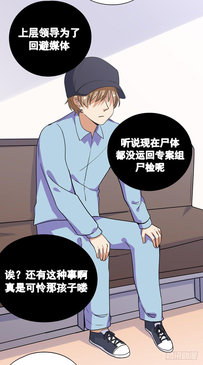 专案组的秘密5