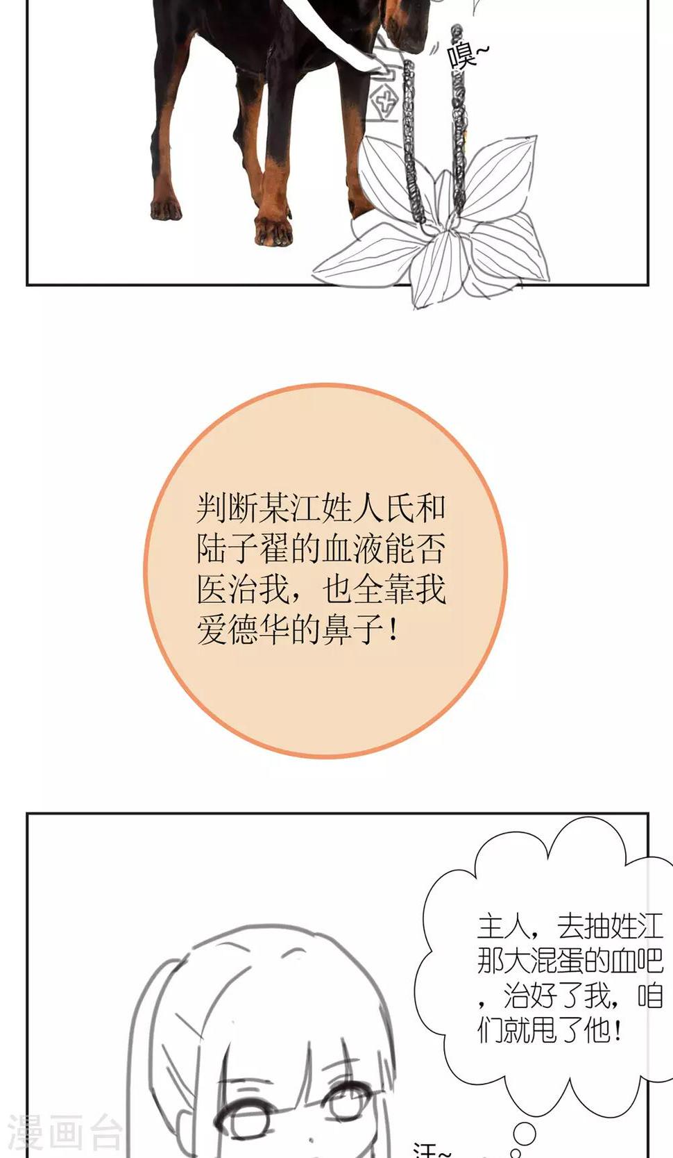 暖场小剧场 忠犬爱德华4
