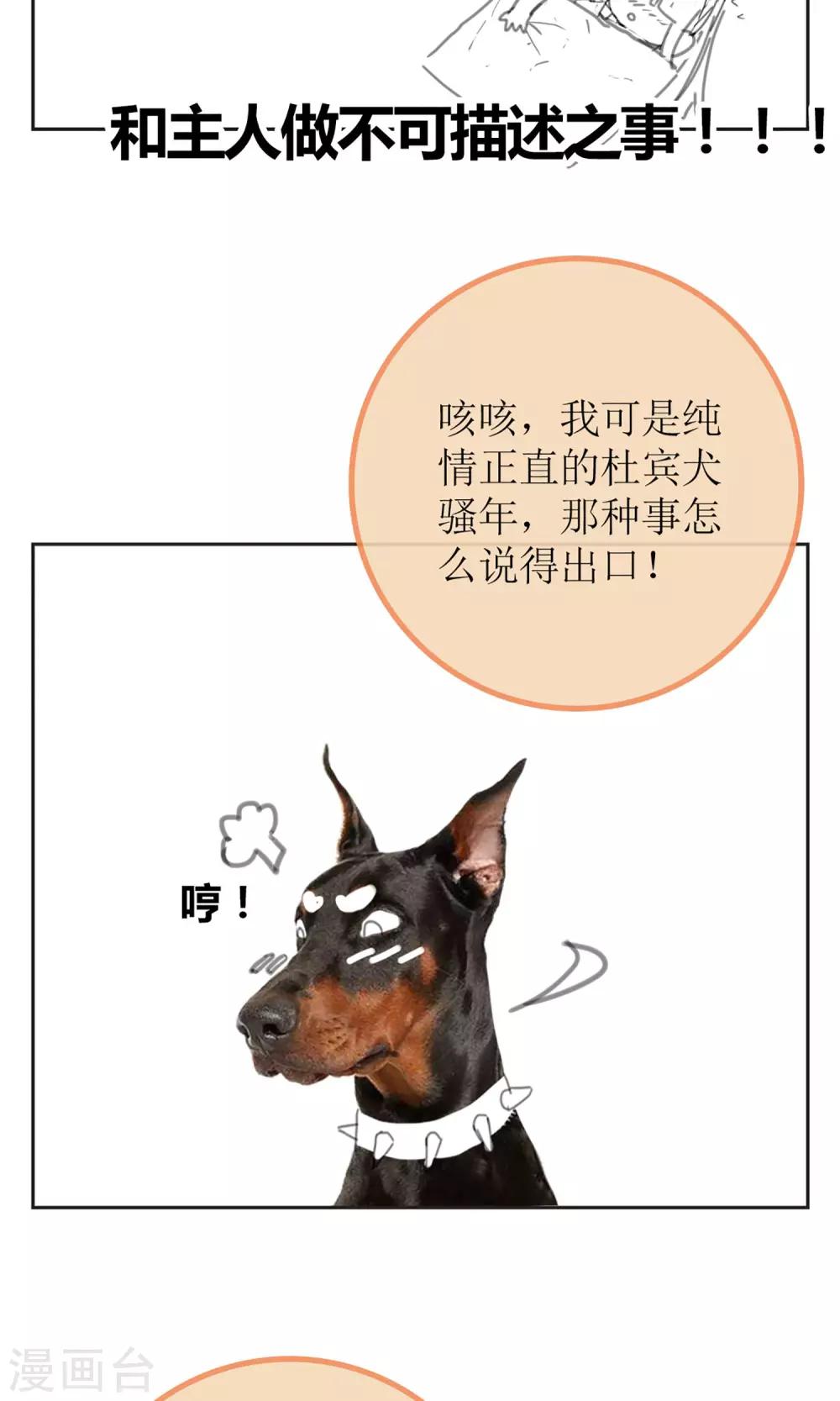 暖场小剧场 忠犬爱德华7