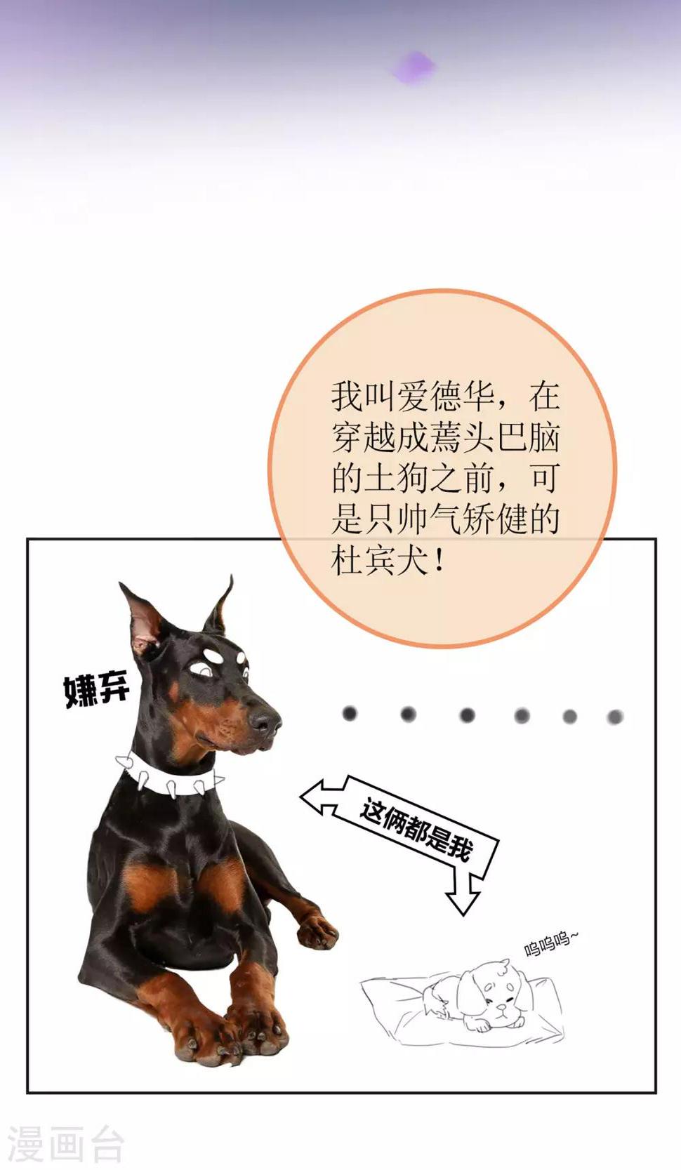 暖场小剧场 忠犬爱德华1