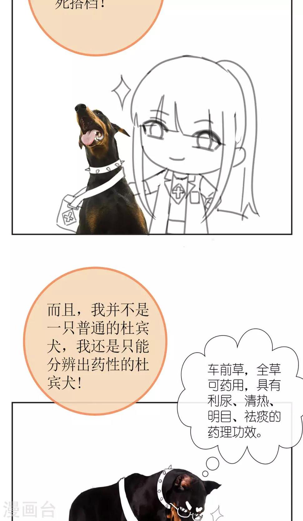 暖场小剧场 忠犬爱德华3