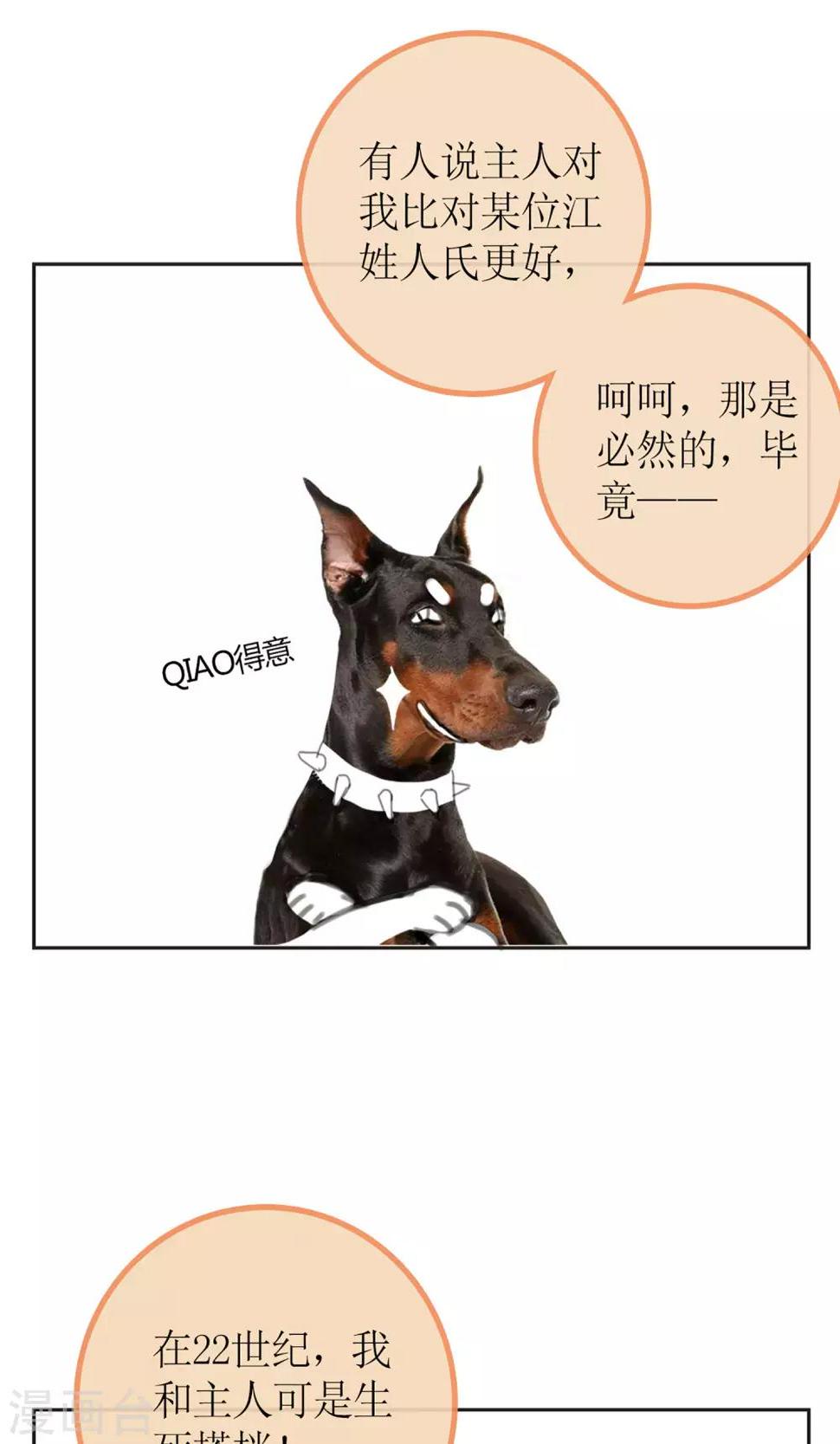 暖场小剧场 忠犬爱德华2