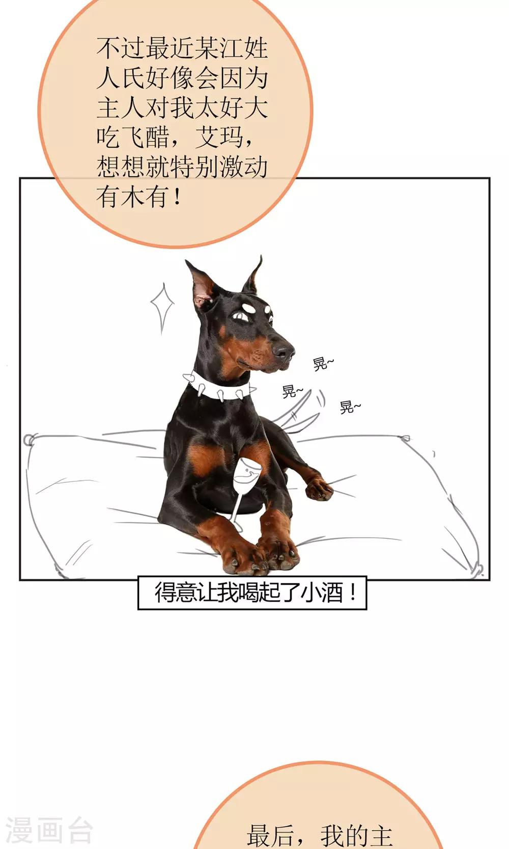 暖场小剧场 忠犬爱德华8