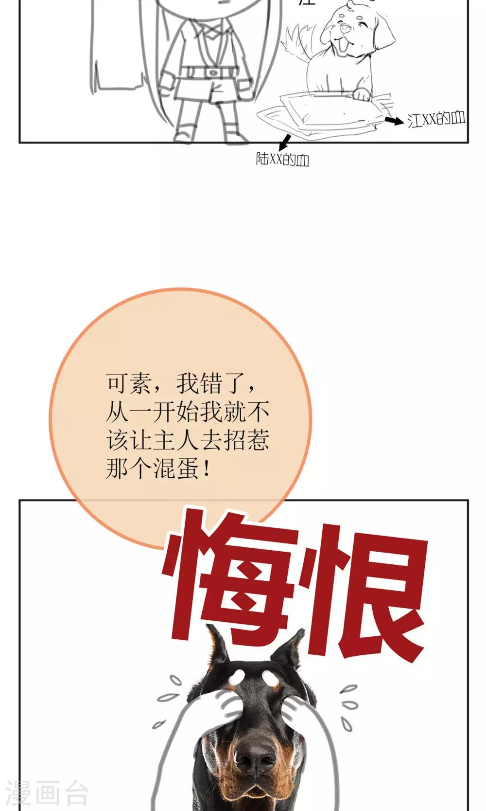 暖场小剧场 忠犬爱德华5