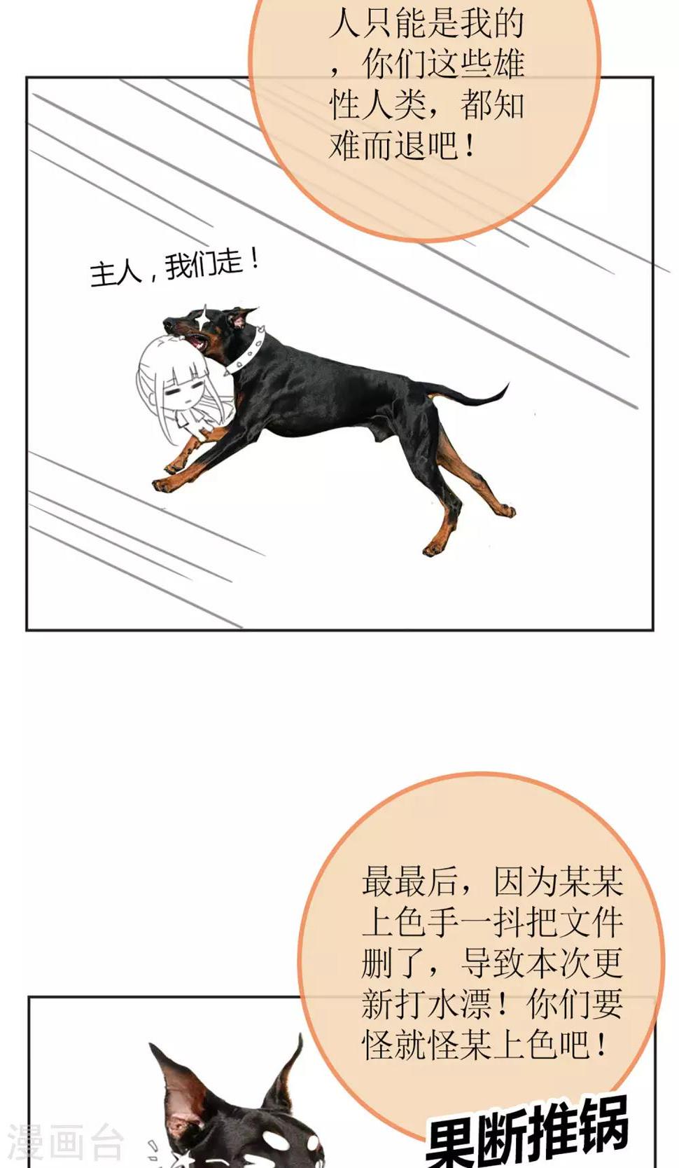 暖场小剧场 忠犬爱德华9