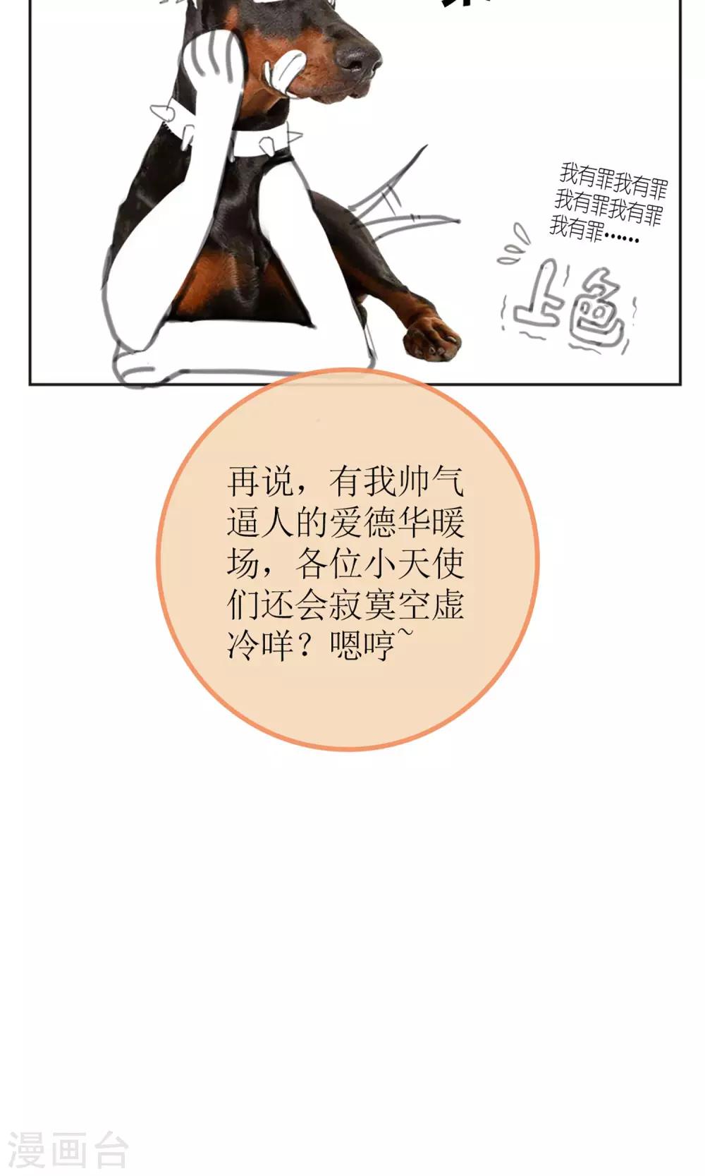 暖场小剧场 忠犬爱德华10
