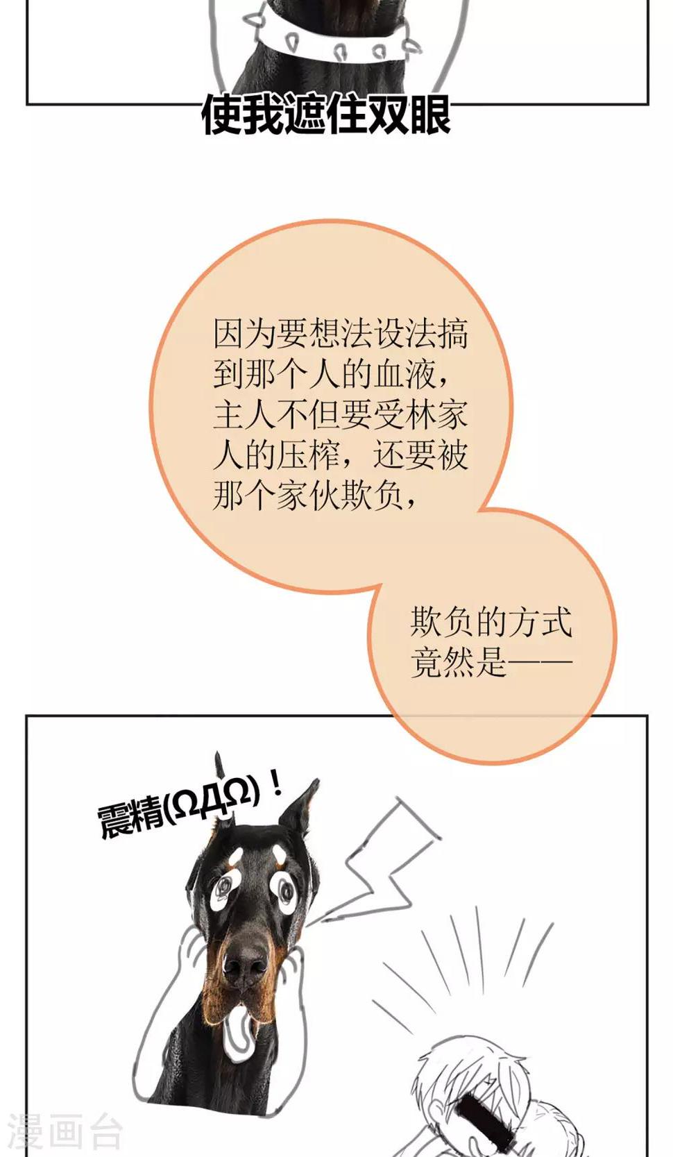暖场小剧场 忠犬爱德华6