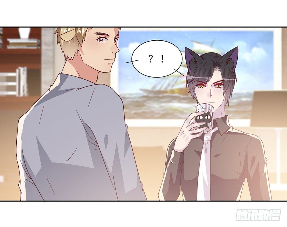 杯子来历15