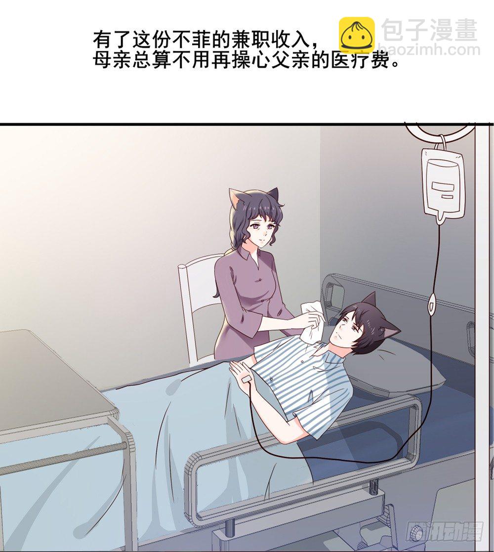 喵小黑的过去9