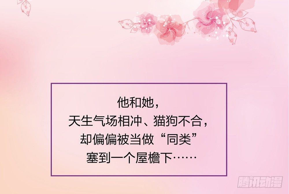 预告10