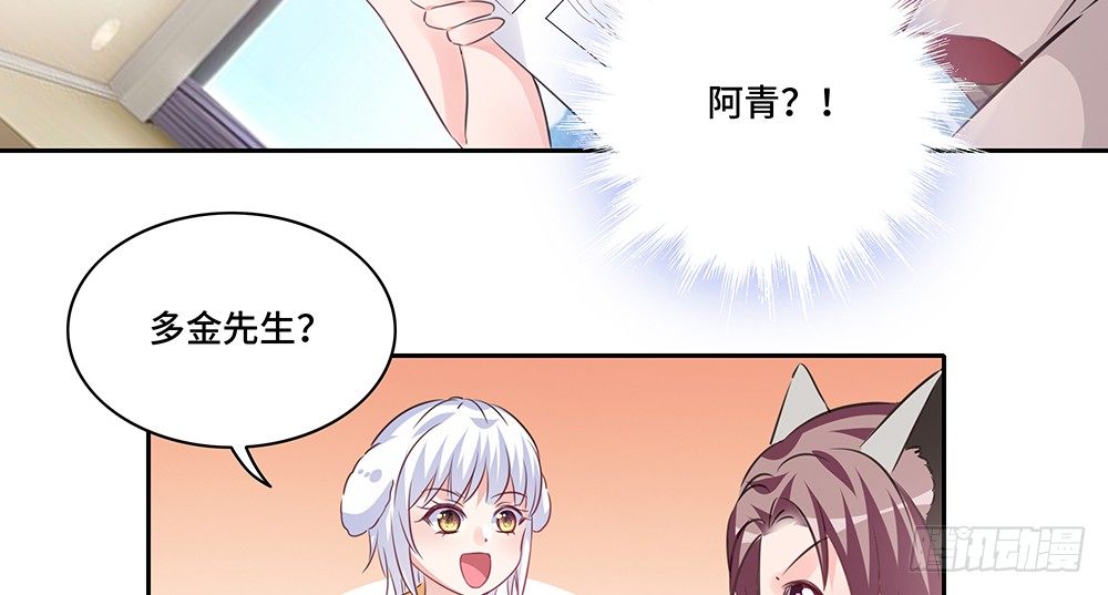 完美匹配18