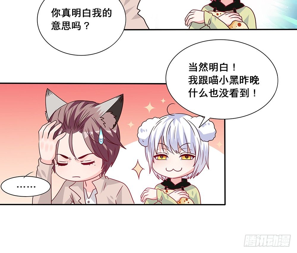 前任出现20