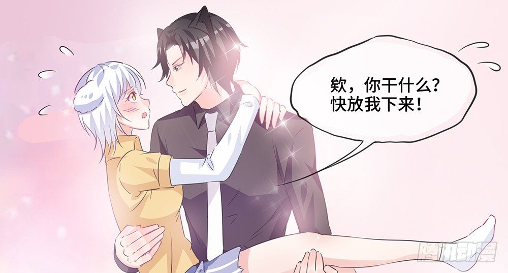 完美匹配66