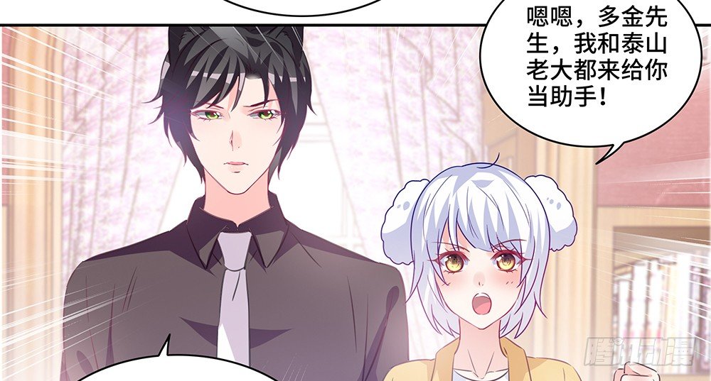 完美匹配8
