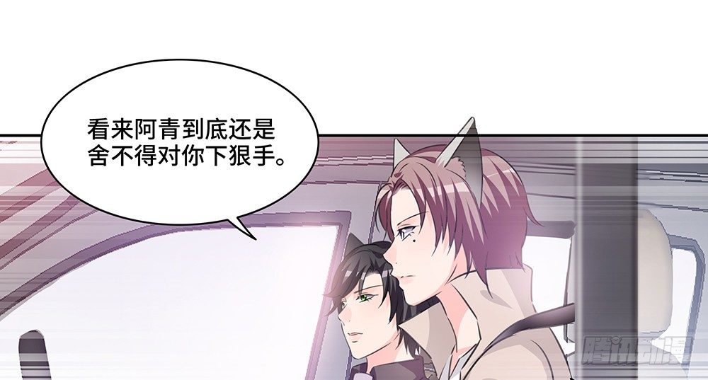 完美匹配31