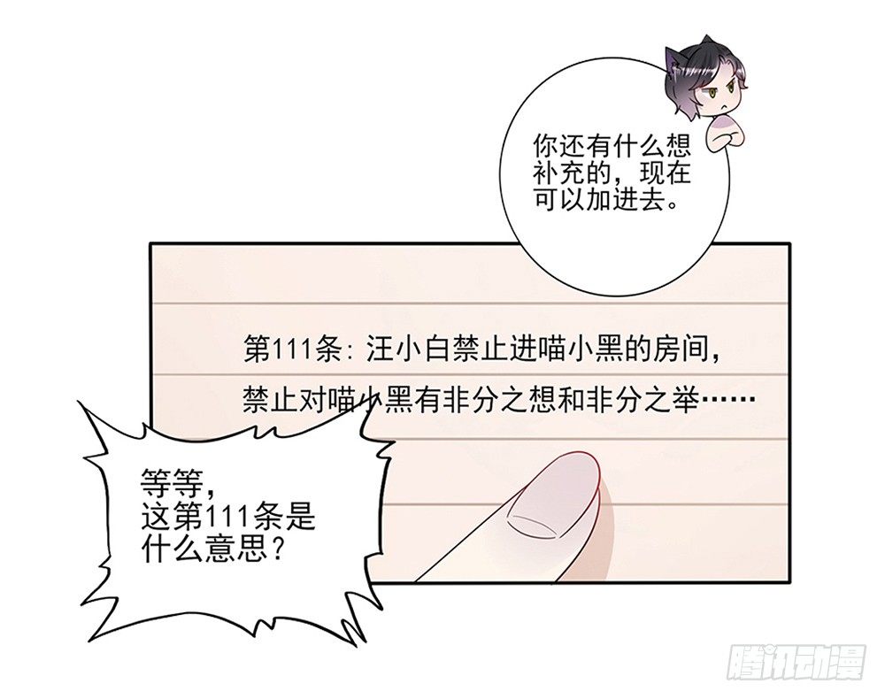 预告15