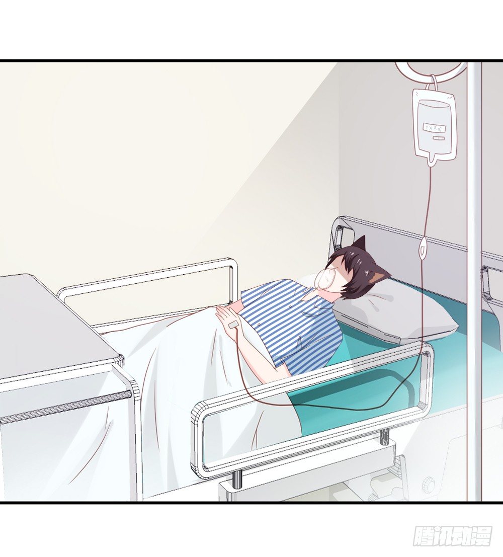 喵小黑的过去4