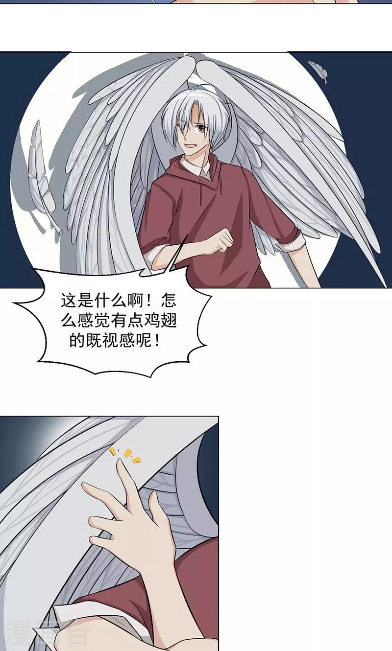 第2话 神秘的翅膀14