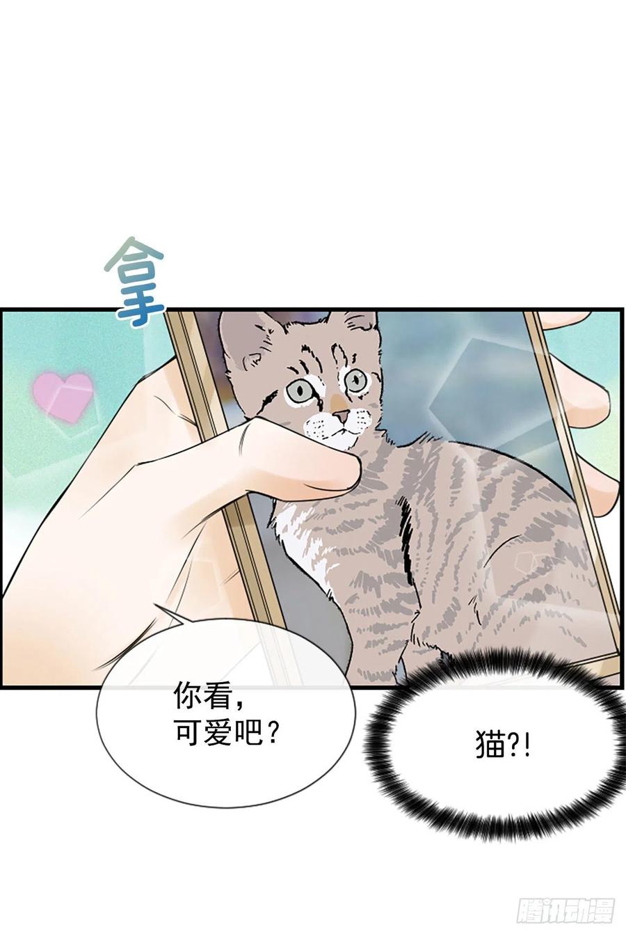 17.“他”23