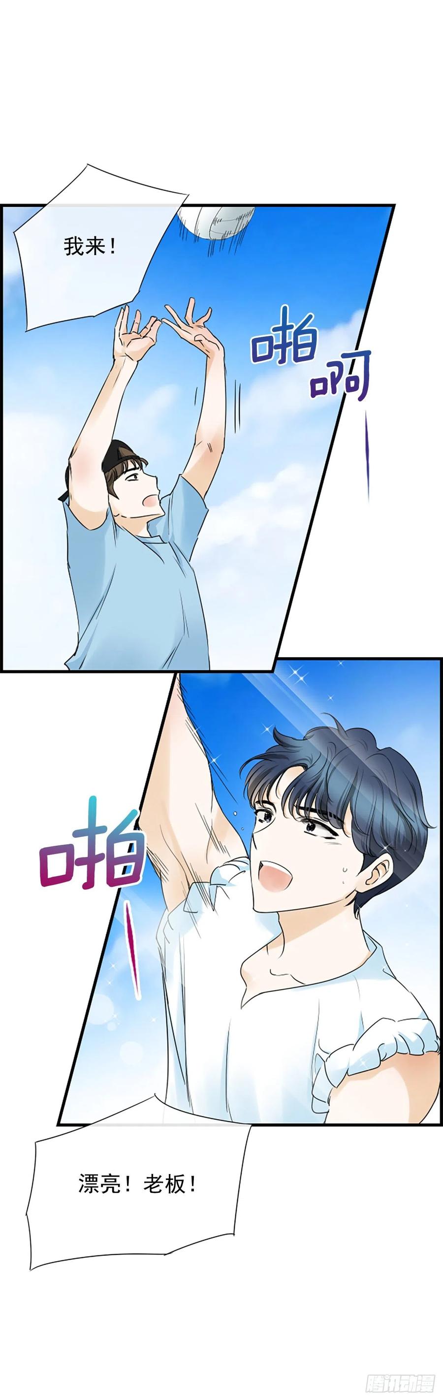 36.排球49