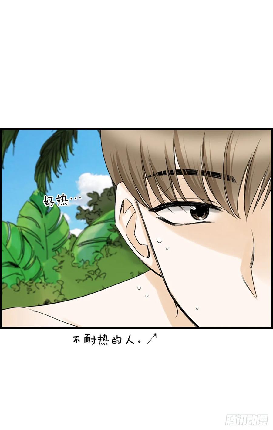 36.排球47