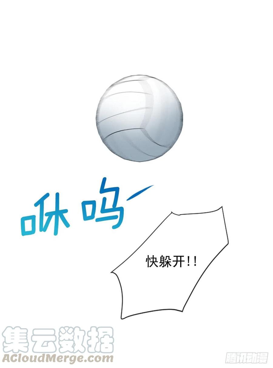 37.发挥所长0