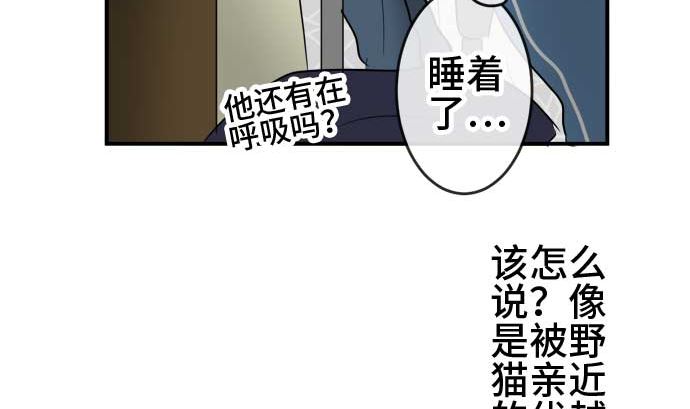 第41话 直己的情况（5）42