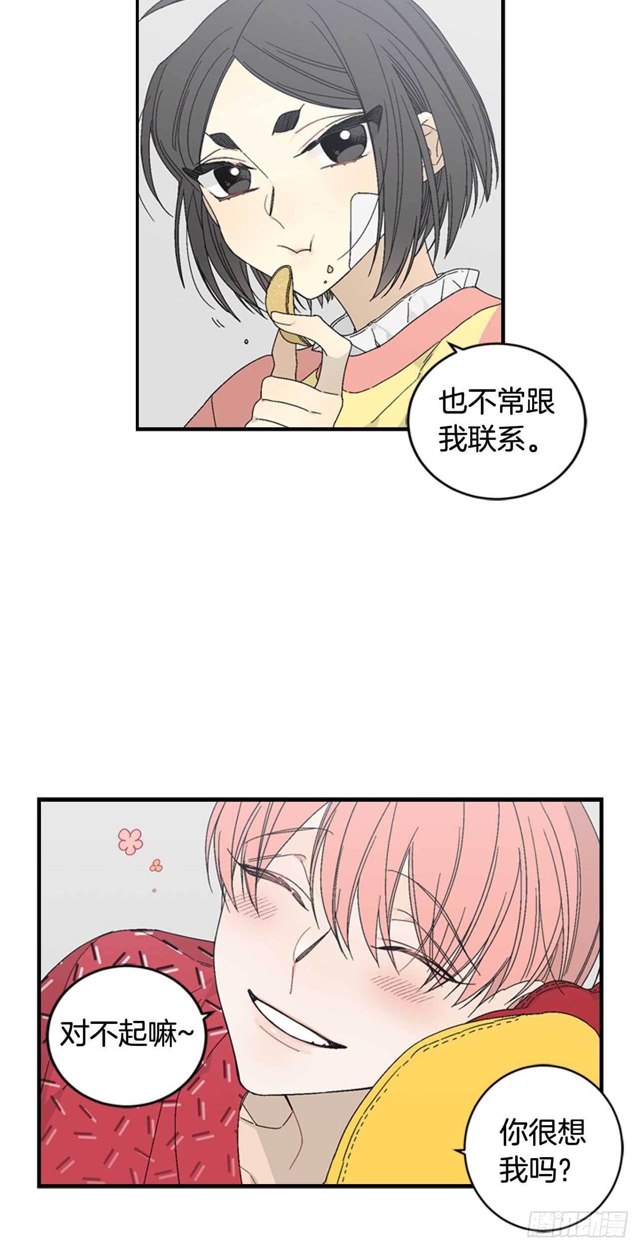 12-表弟回国！13